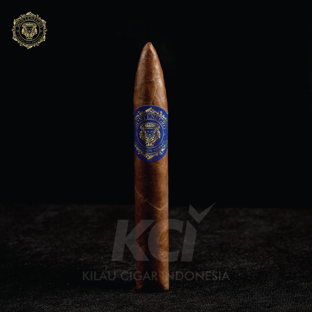 Torpedo (Blue)